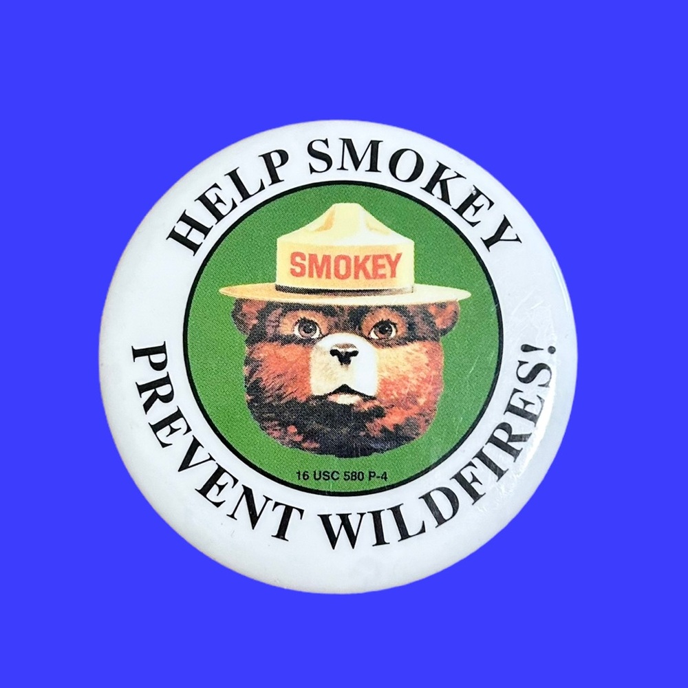 Vintage Smokey the Bear Button.